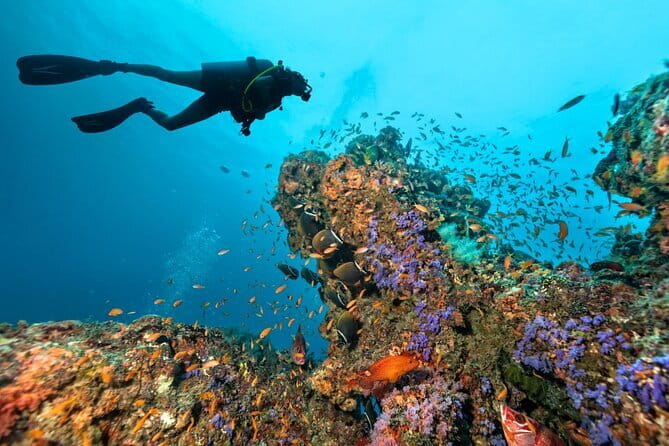 3 Fun Dives in Phi Phi islands for Certified Divers - Phi Phi Islands: two underwater sessions and what makes them worth it