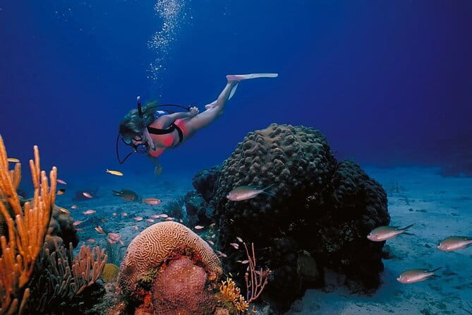3 Fun Dives in Racha Yai and Racha Noi for Certified Divers - 7:00 am Chalong Pier start and a schedule that stays organized