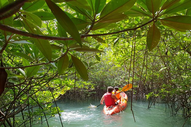 4-Waters Eco-Adventure Trip from Phuket Including Lunch - Price and value: what you get for about $119