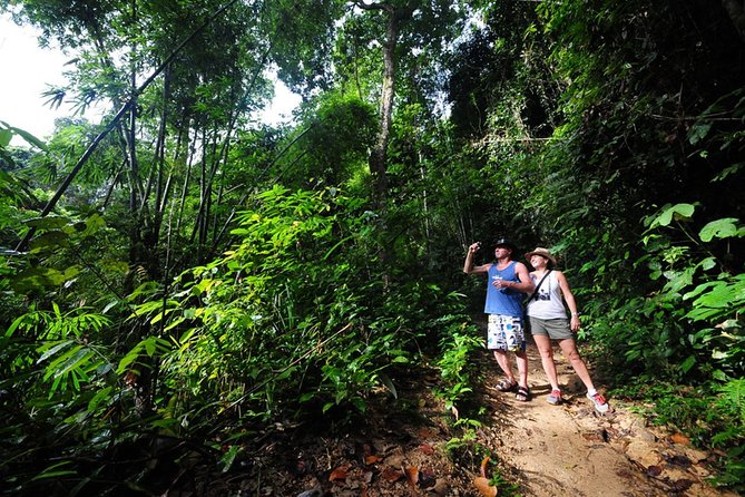 5km Rafting, ATV & Flying Fox Adventure Trip - Lunch Break and the Waterfall Walk: Where the Day Slows Down