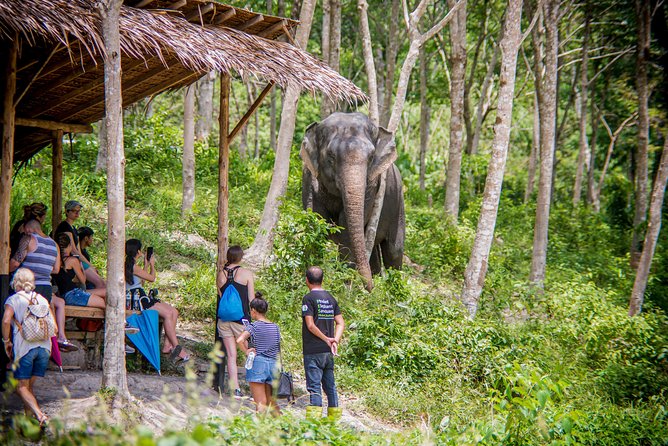 A Morning with the Elephants at Phuket Elephant Sanctuary - Getting Oriented at the Tree Top Sanctuary Lounge