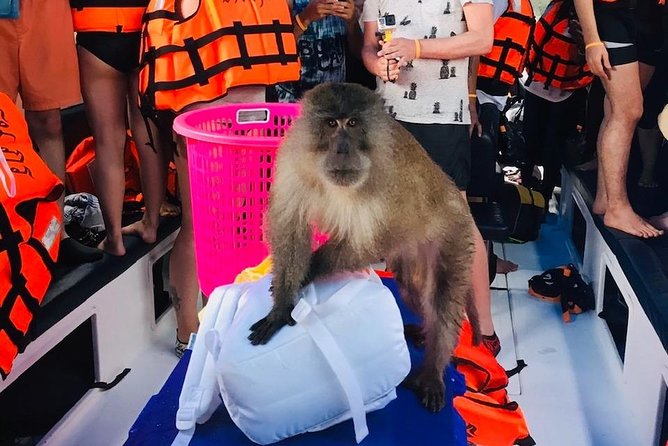 All-in Phi Phi, Maiton, MayaBay, Khai, Bamboo islands Tour - Maya Bay and Phi Phi Don: iconic scenery, then a buffet lunch reset
