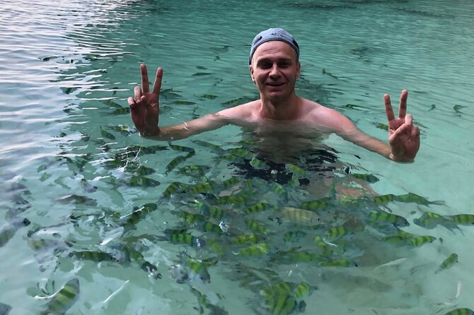 All-in Phi Phi, Maiton, MayaBay, Khai, Bamboo islands Tour - Monkey Beach plus Viking Cave and Lok Samah Bay: cool stops, shorter moments