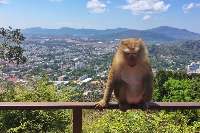 Amazing Phuket Sunset: Promthep Cape, Monkey Hill, Chillva Market - A Sunset Schedule That Actually Fits the Clock