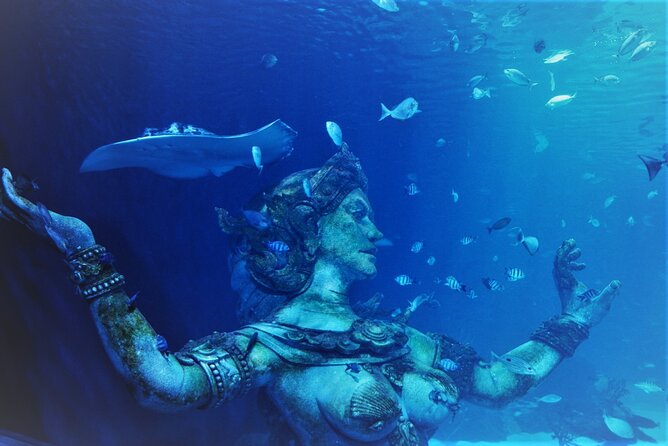 Aquarium Phuket and AR Trick Eye Museum Combo Tickets - Should you book Aquaria Phuket and AR Trick Eye together?