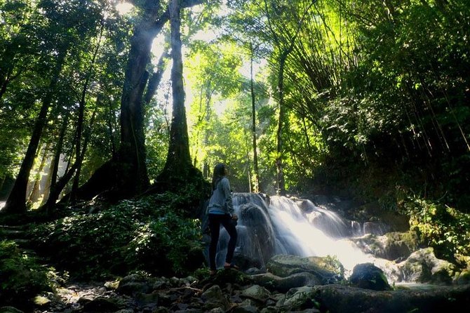 Bamboo Rafting, ATV Riding and Jungle Tour From Phuket - Price and value: is $70.33 fair for what you get?