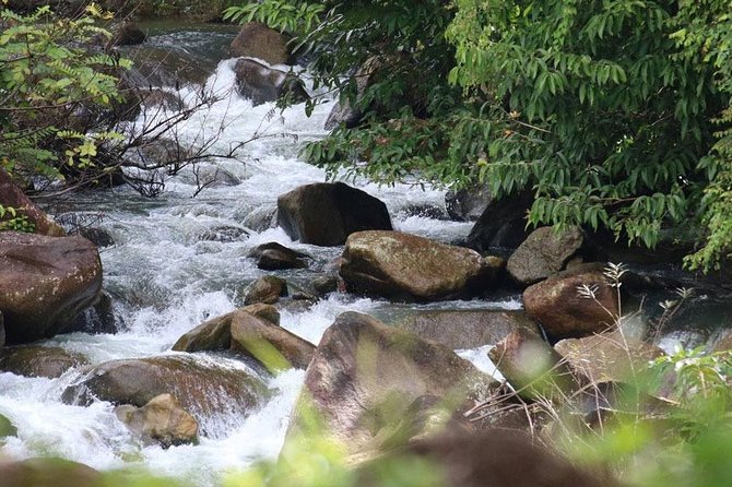 Bamboo Rafting, ATV Riding and Zip Line Tour From Phuket - Timing can flex: what to do when weather or routing changes
