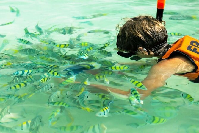 Banana Beach Snorkeling Adventure: A Day in Paradise - The speedboat transfer: quick ride, island energy