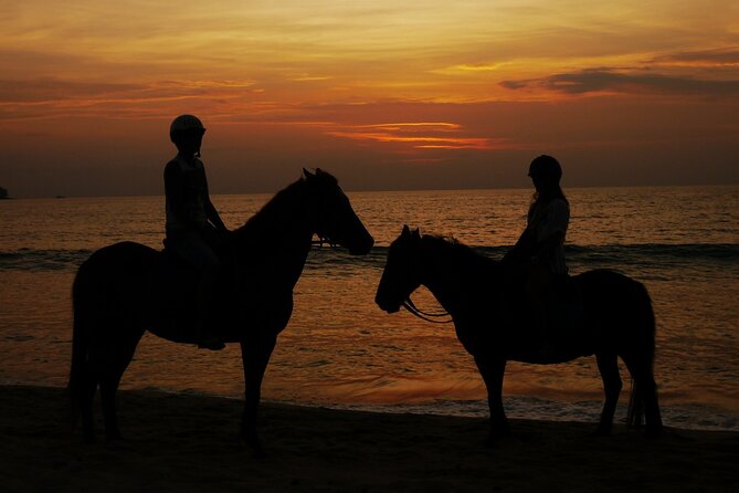 Beach Horse Riding At Sunset In Phuket - Who this sunset horse ride is best for
