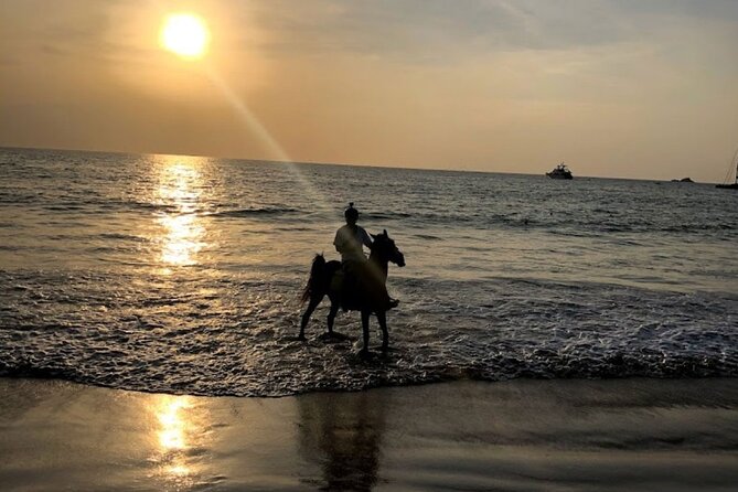 Beach Horse Riding At Sunset In Phuket - The big question nobody should ignore: horse welfare
