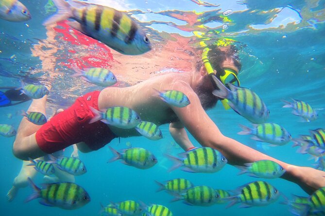 Best of Phi Phi Islands Snorkeling Tour from Phuket - Ko Phi Phi Don: lunch with real comfort and a reset