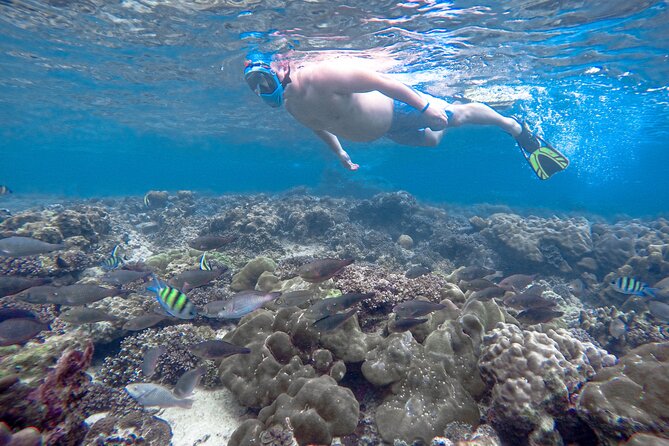 Best of Phi Phi Islands Snorkeling Tour from Phuket - Bamboo Island: beach time that also sets you up for snorkeling
