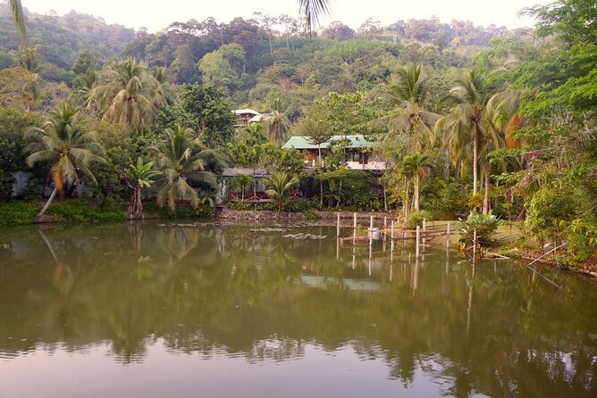 Choose Your Own Dishes: Half-Day Thai Cooking Class in Phuket - From your hotel to Kathu, with pickup that saves your day