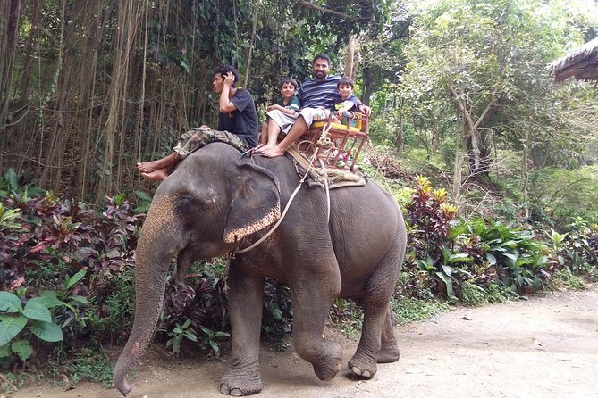 Customized Phuket Tours with Private Driver - Price, value, and what you are actually paying for