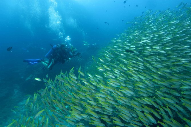 Dive Trip to Phi Phi from Phuket for certified divers - Quick take: what you get in this Phi Phi scuba package