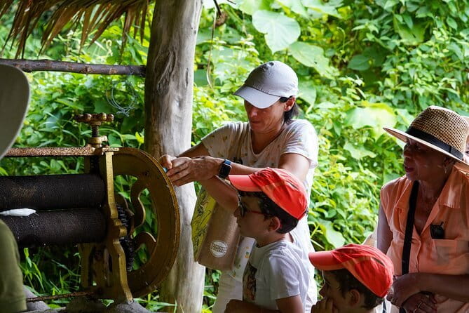 Elephant Nature Experience with Lunch at Bukit Elephant Park - Entering the sanctuary rules: elephants roam, you observe