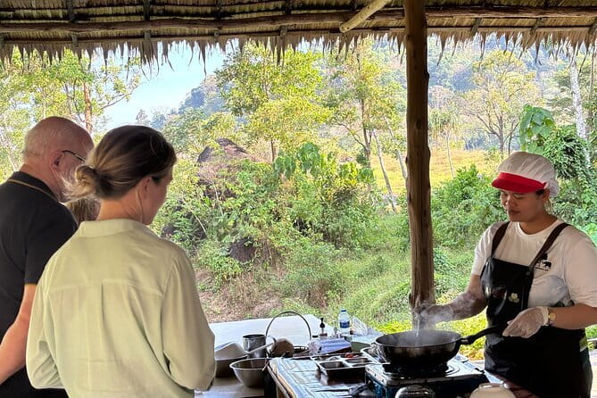 Elephant Nature Experience with Lunch at Bukit Elephant Park - The elephant experience check: what you will likely feel