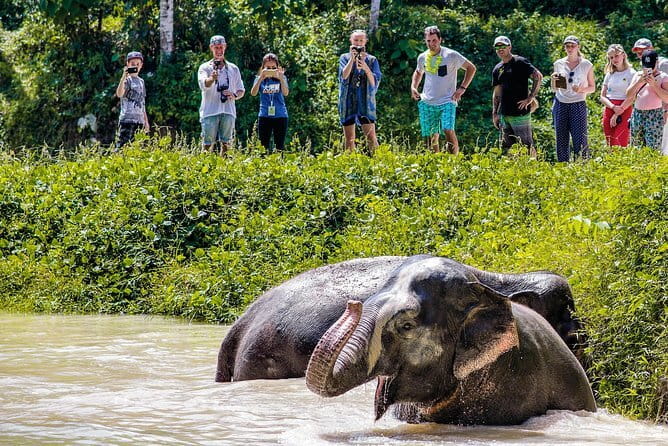 Elephant Nature Experience with Lunch at Bukit Elephant Park - Who should book this tour, and who might skip it