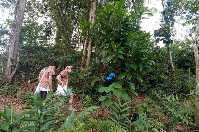 Elephant Sanctuary Small Group Tour in Phuket - Key highlights at a glance