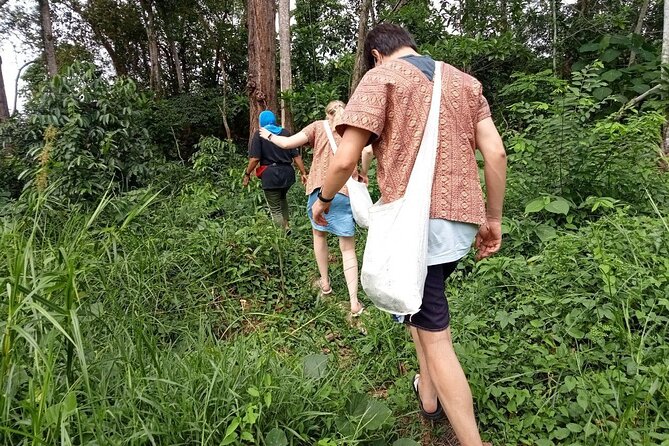 Elephant Sanctuary Small Group Tour in Phuket - Phuket Elephant Sanctuary Above Patong Hill Tribe Village