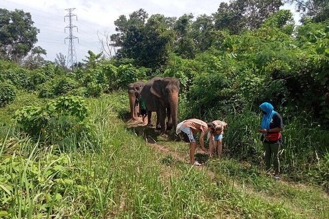 Elephant Sanctuary Small Group Tour in Phuket - Getting there, timing, and what to wear on the hills