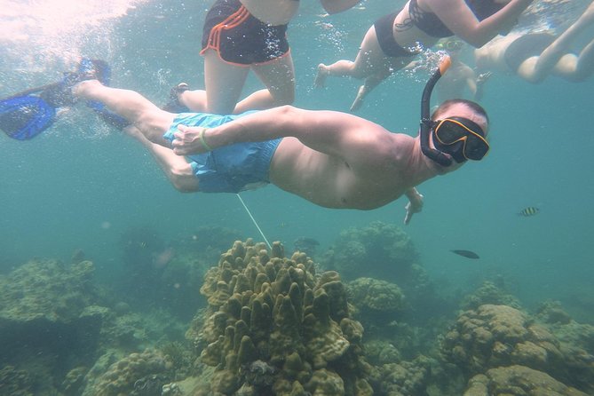 From Khao Lak : Full-Day Private Phi Phi Islands Speedboat Charter - Lunch, optional photos, and how to keep costs from surprising you