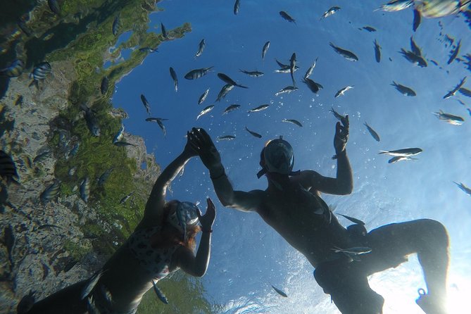 From Khao Lak : Full-Day Private Phi Phi Islands Speedboat Charter - Value for money when your group is up to 10
