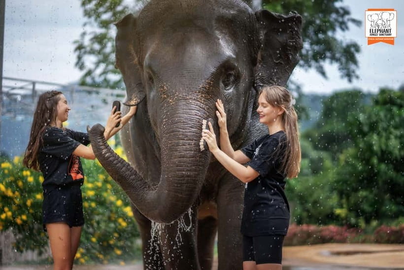 From Phuket: Elephant Jungle Sanctuary Feed and Shower Trip - Photo time, snacks, and how the day stays relaxed