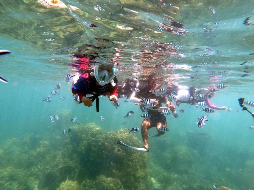 From Phuket: Phi Phi, Maya Bay, & Khai Islands Premium Trip - Viking Cave: the short stop that adds real story