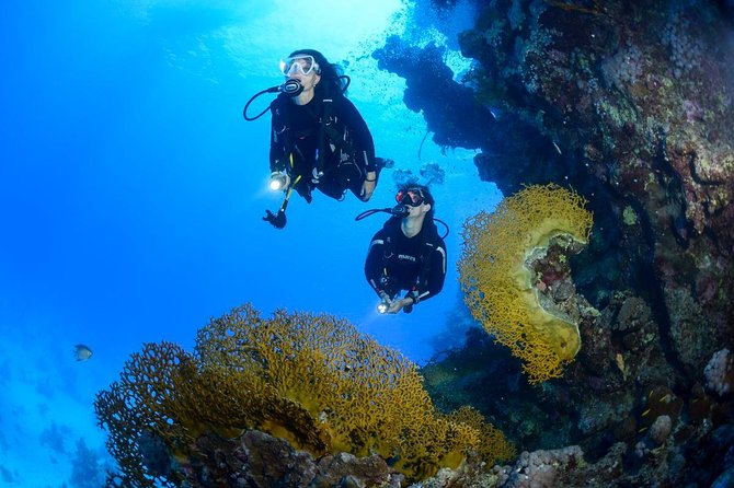 Full-Day Beginner Scuba Course with Private Tuition, Racha Yai - Timing and How Your Morning Flows From Chalong Pier