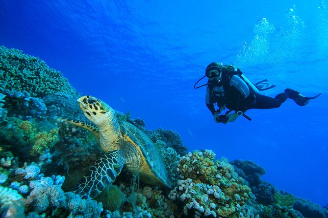 Full-Day Beginner Scuba Course with Private Tuition, Racha Yai - Boat Comfort, Food, and Staying Well During a Long Day