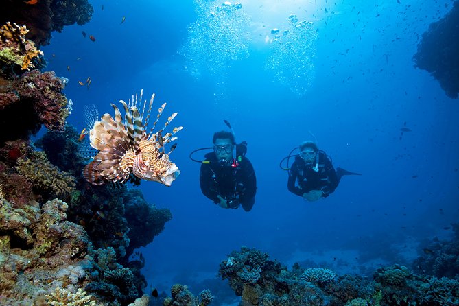Full-Day Beginner Scuba Course with Private Tuition, Racha Yai - Instructors Who Make Nervous First-Timers Comfortable