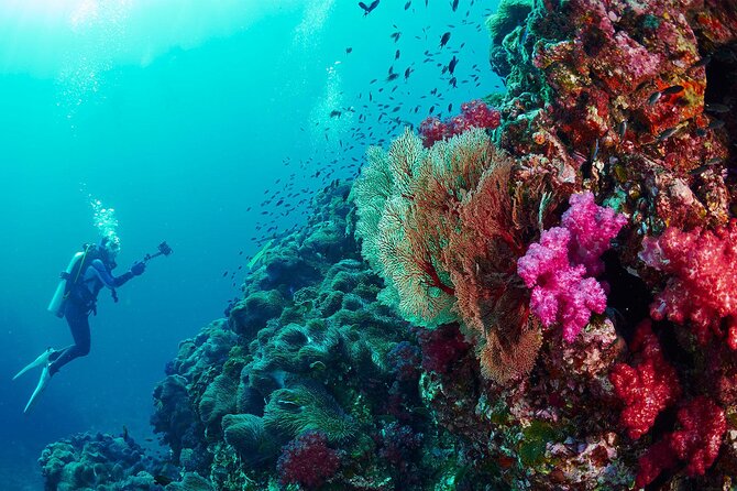 Full-Day Beginner Scuba Course with Private Tuition, Racha Yai - Who This Beginner Course Fits Best (and Who Should Double-Check)