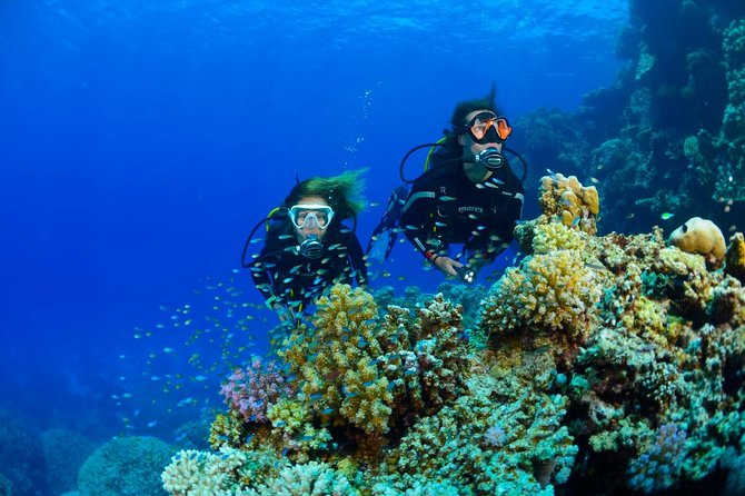 Full-Day Beginner Scuba Course with Private Tuition, Racha Yai - Should You Book This Koh Racha Yai Beginner Course?