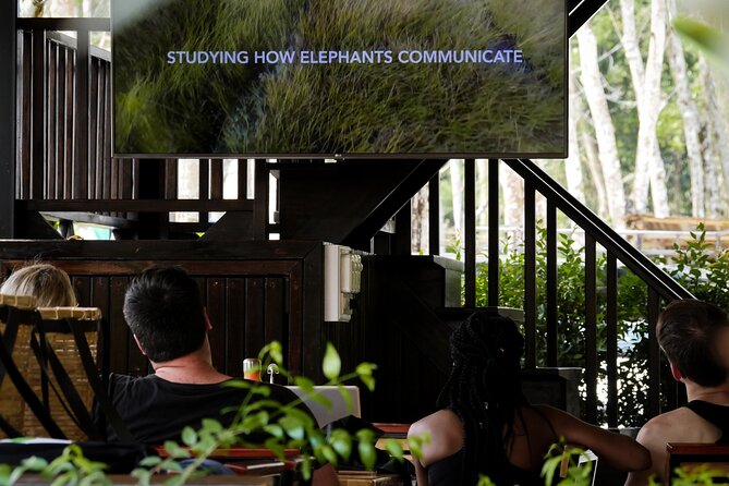 Full-Day Phuket Elephant Sanctuary Tour with Lunch and Dinner - 9:30 AM Start at the Sanctuary, Then a 30-Acre Slow Walk