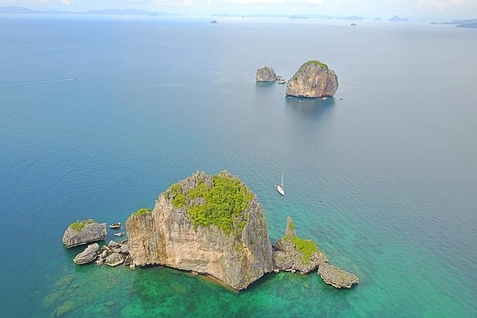 Full-Day Private Phi Phi Islands Speedboat Charter - Monkey Beach: quick animal watching with respect