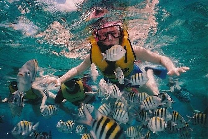 Full-Day Racha Noi and Racha Yai Snorkeling from Phuket - Koh Racha Yai: the Reward Stop, Often a Bit More Challenging