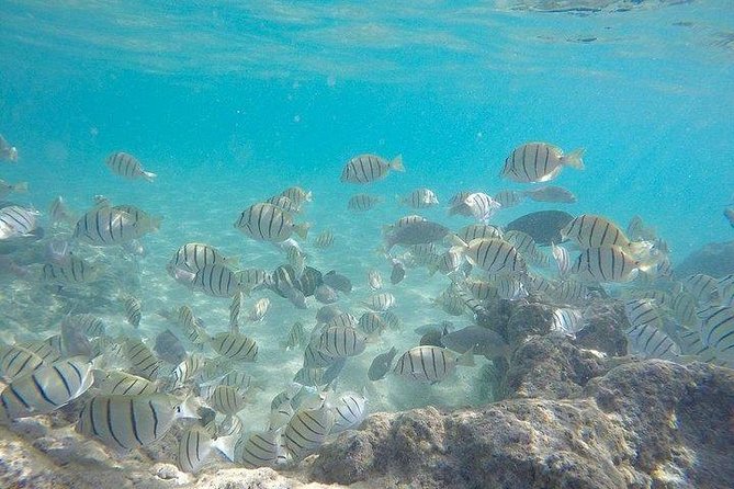 Full-Day Racha Noi and Racha Yai Snorkeling from Phuket - Snorkel Guidance vs. Scuba Focus: How the Setup Feels