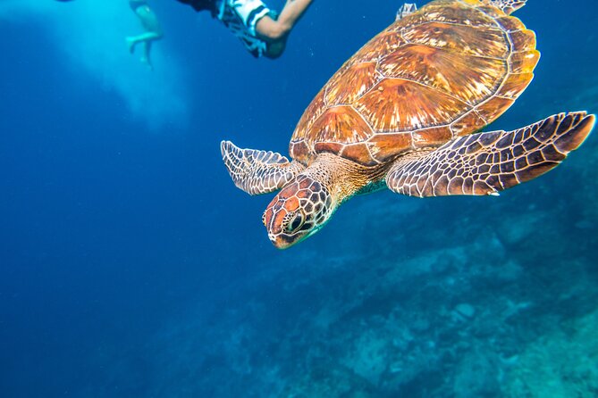 Full-day Tour to the Similan Islands by Speedboat from Khao Lak - Food Plan Reality Check, So You Don’t Get Hangry