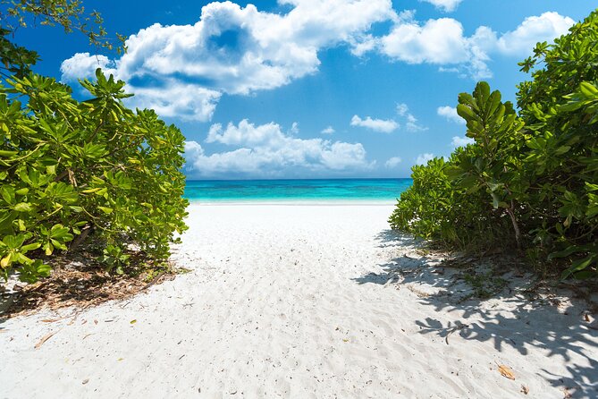 Full-day Tour to the Similan Islands by Speedboat from Khao Lak - Crowds and Comfort, The Trade-Off You Should Actually Think About
