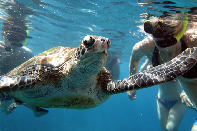 Full-day Tour to the Similan Islands by Speedboat from Khao Lak - Practical Packing Checklist for Similan Islands Snorkeling