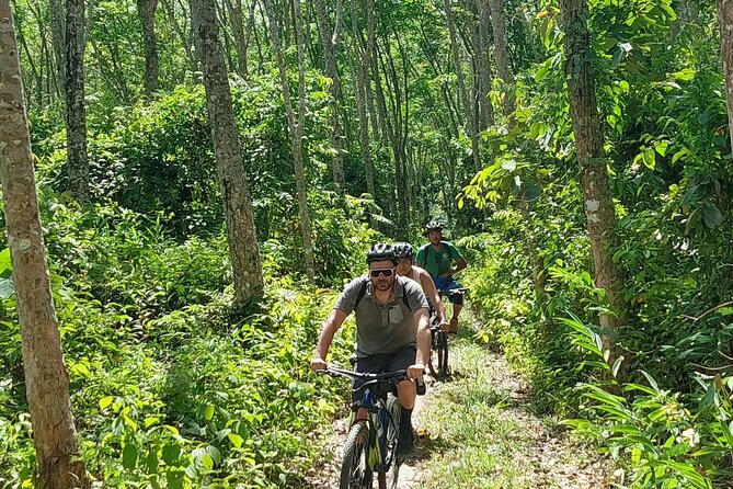 Half-Day Countryside Cycling Small-group Tour in Phuket - Stop-by-Stop: What You See at Caltex, the Forest Nursery, Thalang, and Laem Sai Pier
