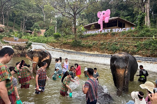 Half day with Elephants at Patong Elephant Hug (No ride No trick) - How long it really takes, plus the 3 package choices