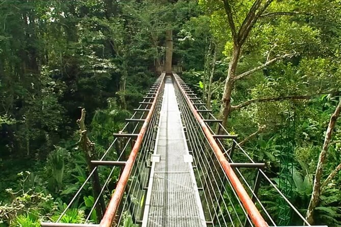 Hanuman World Phuket Round Trip Transfer Extra Zone - Meeting Point: Getting There Without Stress