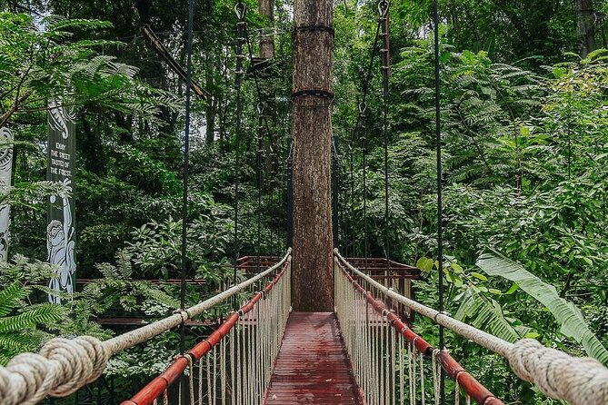 Hanuman World Zipline & Skywalk Phuket - Skywalk and Bridges: The Views and the Myth-Style Story
