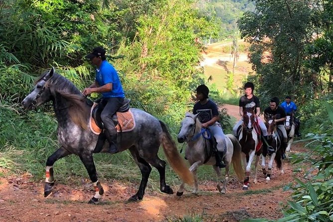 Horseback Riding 1 hour trail - Key Highlights You Should Know
