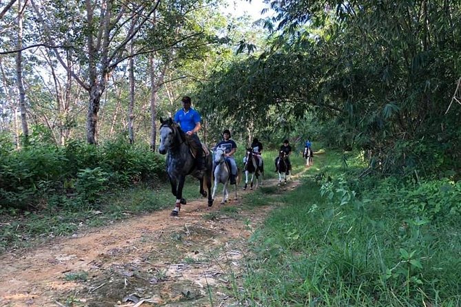 Horseback Riding 1 hour trail - Through Chalong Countryside: Rubber Plantations and Fruit Orchards