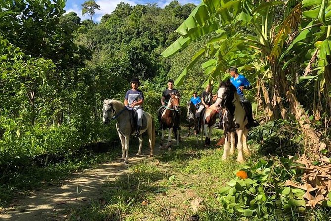 Horseback Riding 1 hour trail - Horses and Guides: Calm Training With Real Support