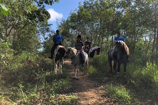 Horseback Riding 1 hour trail - Photos, Videos, and That Extra Touch of Convenience