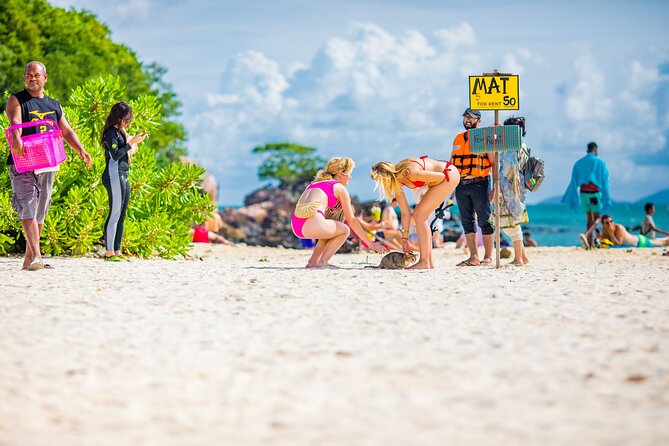 Khai Island Half Day Tour From Phuket - Stop 3, Koh Khai Nai again: beach time plus a second chance to snorkel